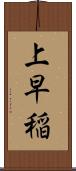 上早稲 Scroll