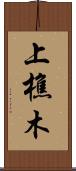 上樵木 Scroll