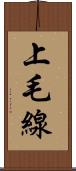 上毛線 Scroll