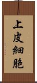 上皮細胞 Scroll