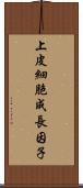 上皮細胞成長因子 Scroll