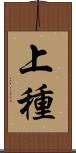 上種 Scroll