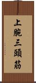 上腕三頭筋 Scroll