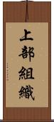 上部組織 Scroll