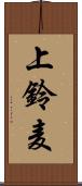 上鈴麦 Scroll