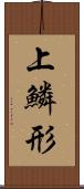 上鱗形 Scroll