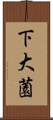 下大薗 Scroll