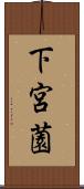 下宮薗 Scroll