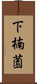 下楠薗 Scroll