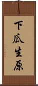 下瓜生原 Scroll