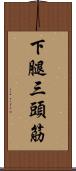 下腿三頭筋 Scroll