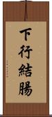 下行結腸 Scroll