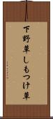 下野草 Scroll
