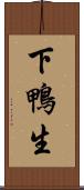 下鴨生 Scroll