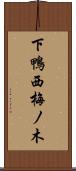 下鴨西梅ノ木 Scroll