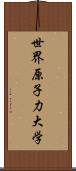 世界原子力大学 Scroll