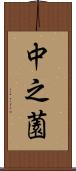中之薗 Scroll