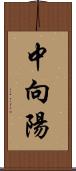 中向陽 Scroll