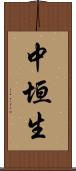 中垣生 Scroll