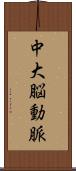 中大脳動脈 Scroll