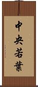 中央若葉 Scroll