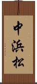 中浜松 Scroll