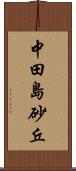 中田島砂丘 Scroll