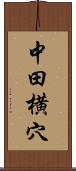 中田横穴 Scroll