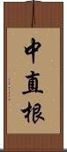 中直根 Scroll