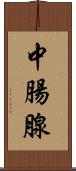 中腸腺 Scroll