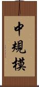 中規模 Scroll