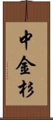 中金杉 Scroll