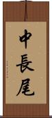 中長尾 Scroll