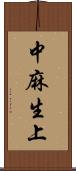 中麻生上 Scroll