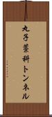 丸子藁科トンネル Scroll