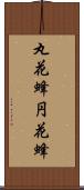 丸花蜂 Scroll