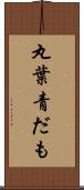 丸葉青だも Scroll