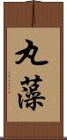 丸藻 Scroll