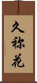 久祢花 Scroll