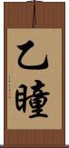 乙瞳 Scroll