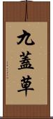 九蓋草 Scroll