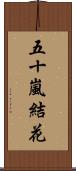五十嵐結花 Scroll