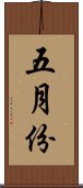 五月份 Scroll
