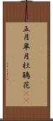 五月;皐月;杜鵑花(sK) Scroll