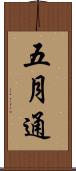 五月通 Scroll