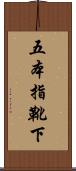 五本指靴下 Scroll