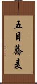 五目蕎麦 Scroll