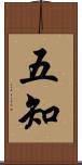 五知 Scroll
