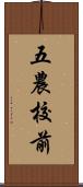 五農校前 Scroll
