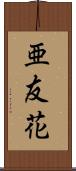 亜友花 Scroll